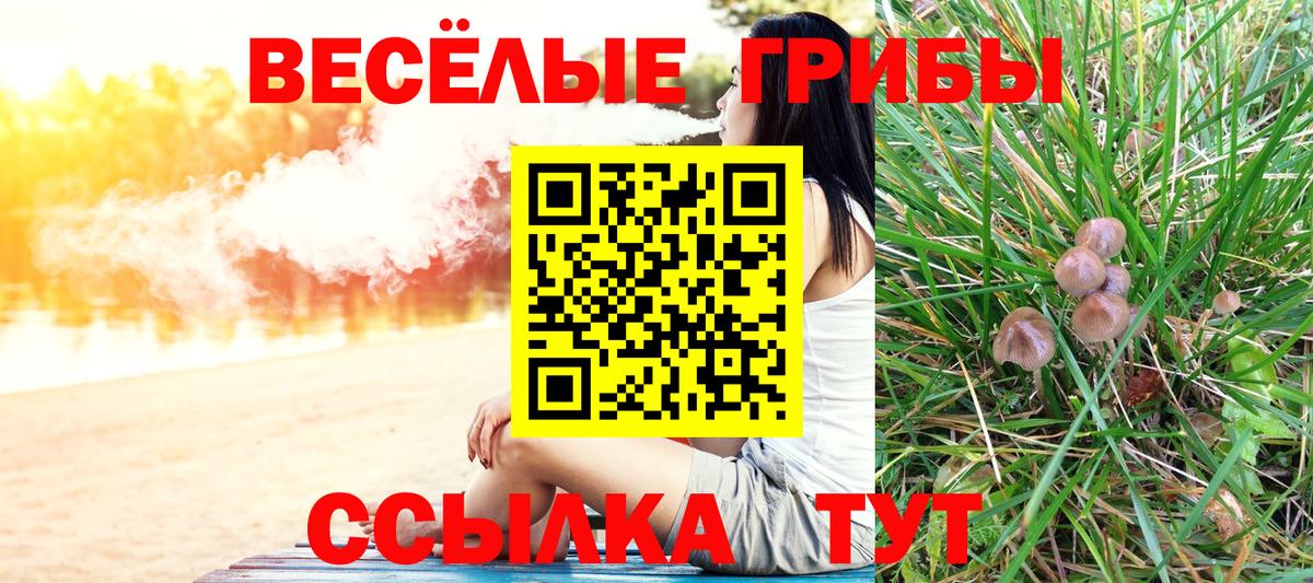 Комсомольск-на-Амуре  Псилоцибиновые грибы MAGIC MUSHROOMS  наркошоп  Вход с VPN  Галлюциногенные грибы Psilocybe 