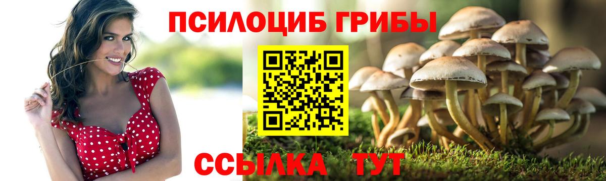Псилоцибиновые грибы Magic Shrooms Комсомольск-на-Амуре